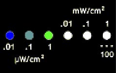 emm aqua display