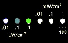 emm aqua/green display