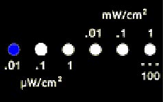 emm blue display