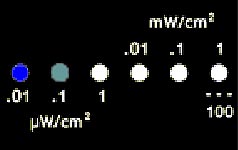 emm blue/aqua display