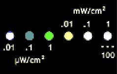 emm green display