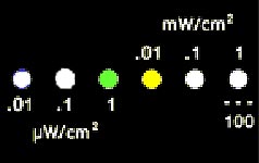 emm green/yellow display