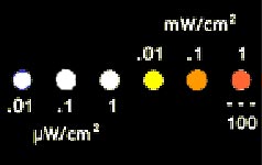 emm orange display