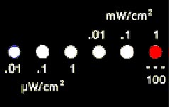 emm red display