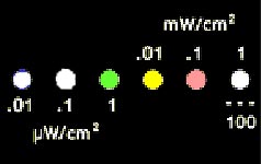 emm yellow display