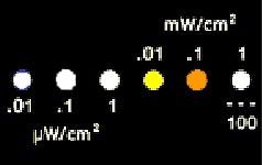 emm yellow/orange display