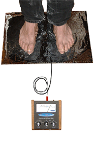 measuring human vitality with the Large Electrode Plate