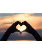 Donations and Support