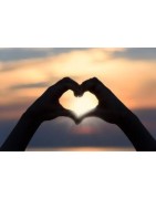 Donations and Support