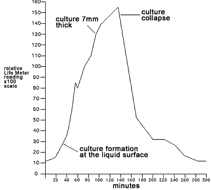 energy level of yeast culture over time