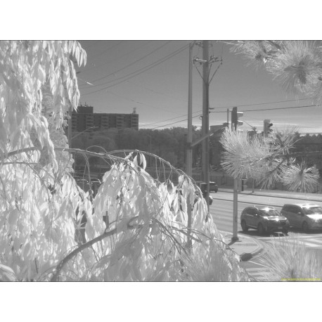 Cart test
